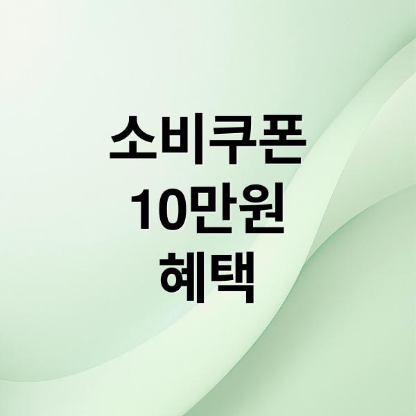 소비쿠폰
10만원
혜택 (소비쿠폰 2차)
