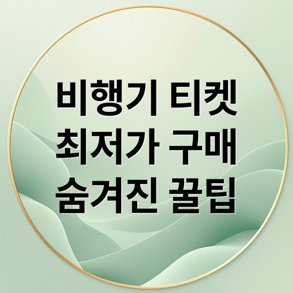 비행기 티켓
최저가 구매
숨겨진 꿀팁 (비행기 티켓 항공편 싸게 구매하는법)