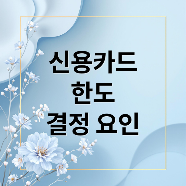 신용카드
한도
결정 요인 (신용카드 한도 상향 조건 기준)