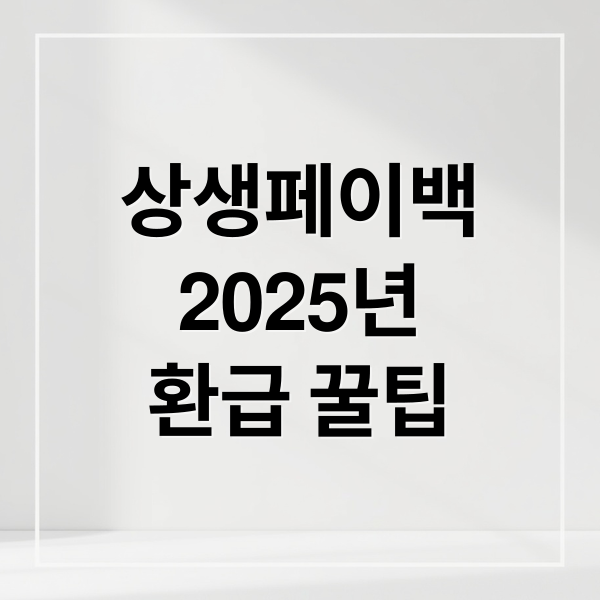 상생페이백
2025년
환급 꿀팁 (상생페이백 2025 환급)