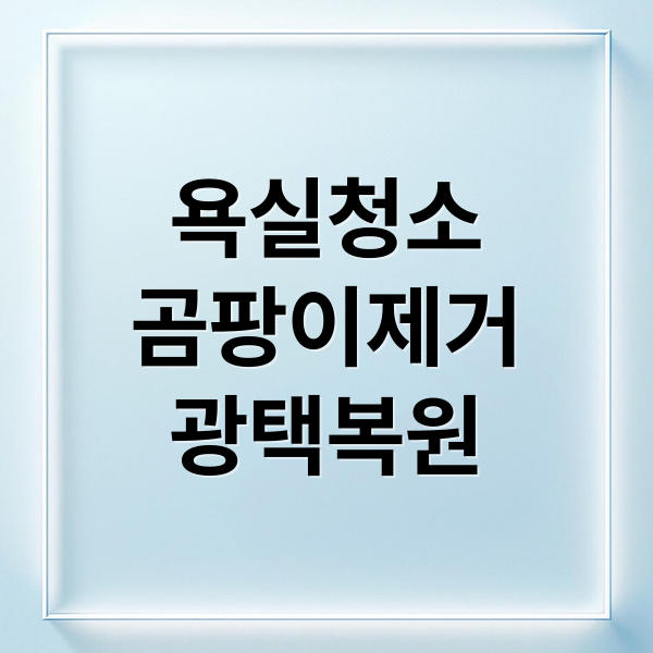 욕실청소
곰팡이제거
광택복원 (욕실 광택 되살리는 방법)