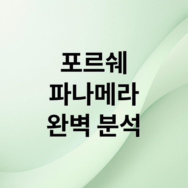 포르쉐
파나메라
완벽 분석 (포르쉐 파나메라 시승기)