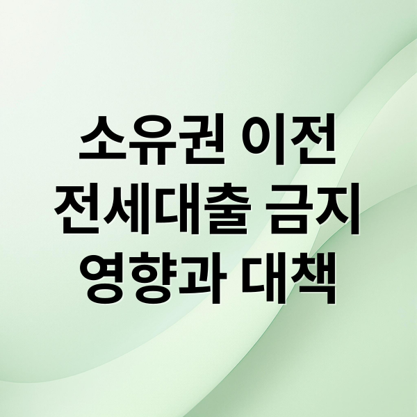 소유권 이전
전세대출 금지
영향과 대책 (소유권 이전 조건부 전세대출 전면 금지)