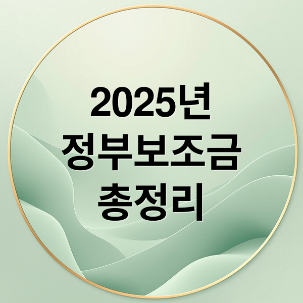 2025년
정부보조금
총정리 (2025년 정부보조금 및 지원금)
