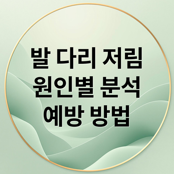 발 다리 저림
원인별 분석
예방 방법 (다리저림 원인 발저림 원인)