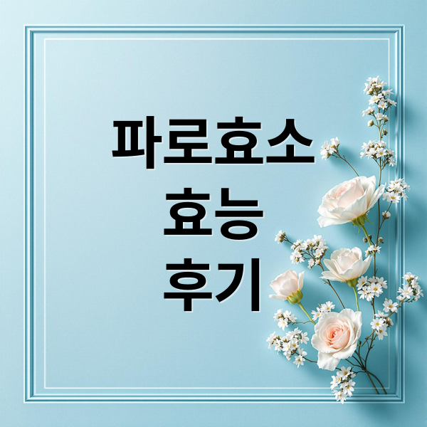 파로효소
효능
후기 (파로효소 효능 다이어트)