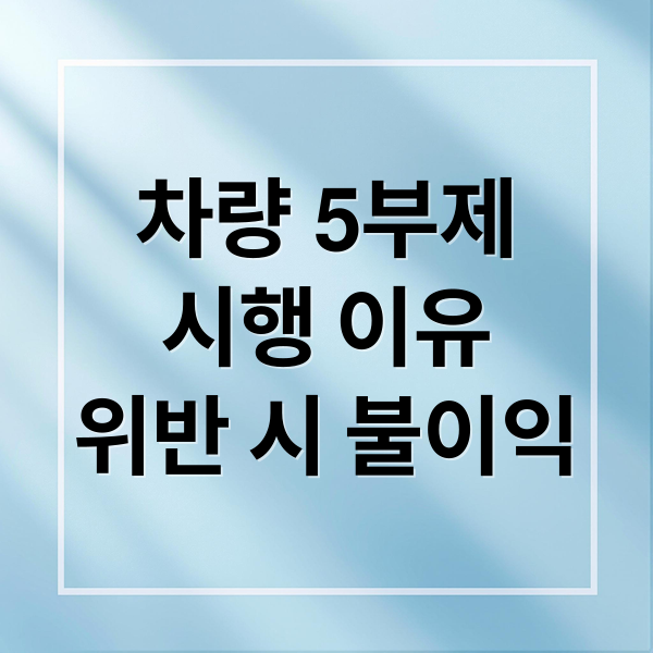 차량 5부제
시행 이유
위반 시 불이익 (차량 5부제)