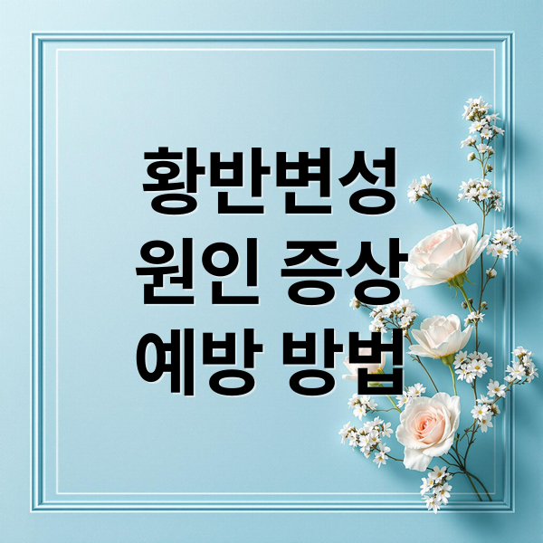 황반변성
원인 증상
예방 방법 (황반변성 원인)