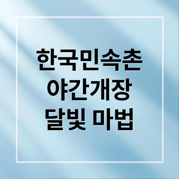 한국민속촌
야간개장
달빛 마법 (용인 한국민속촌 달빛의 마법)