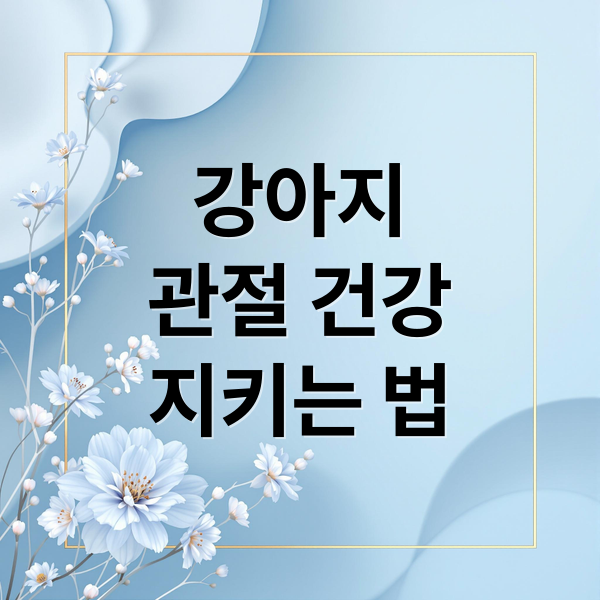 강아지
관절 건강
지키는 법 (강아지 관절영양제 관절염 예방)