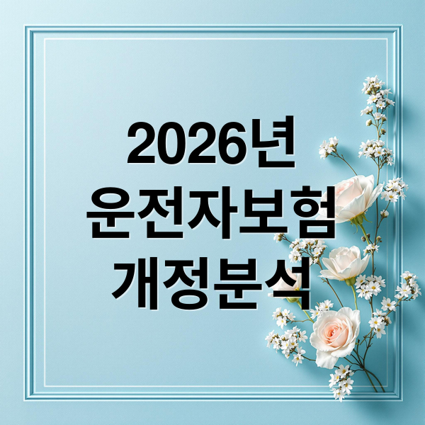 2026년
운전자보험
개정분석 (운전자보험 개정)