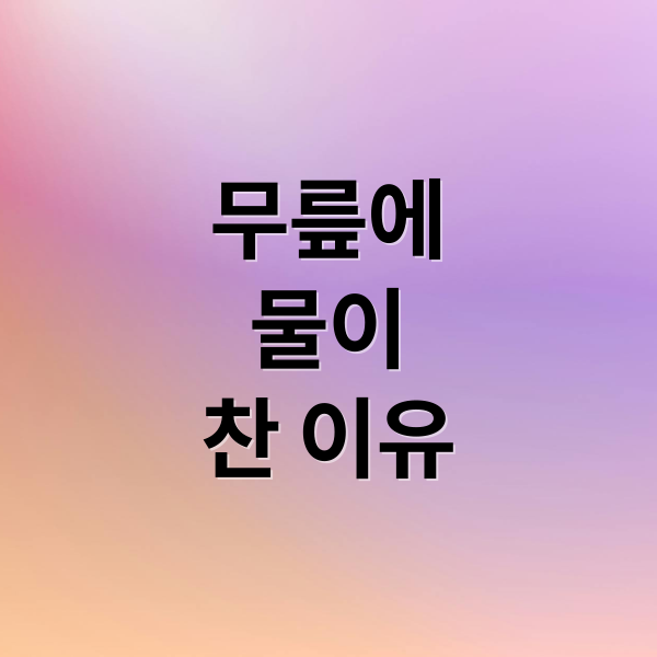 무릎에
물이
찬 이유 (무릎 물 차는 이유 12가지)