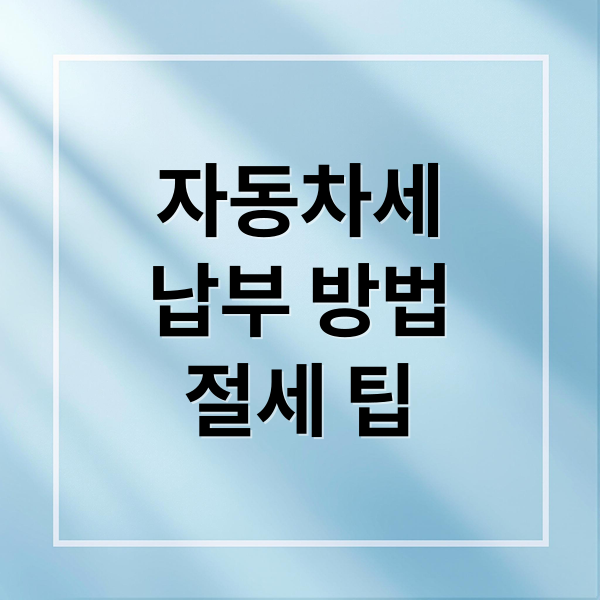 자동차세
납부 방법
절세 팁 (자동차세)