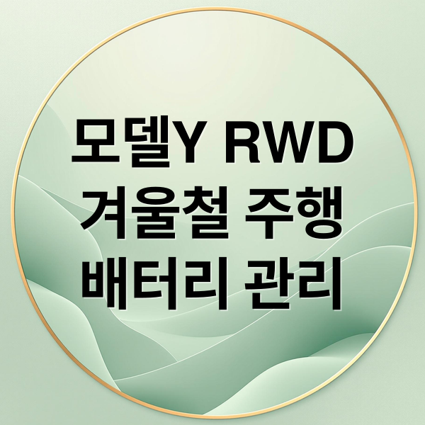 모델Y RWD
겨울철 주행
배터리 관리 (테슬라 모델Y RWD LFP 배터리 겨울철 주행거리)