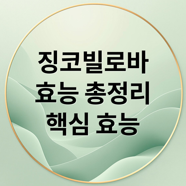 징코빌로바
효능 총정리
핵심 효능 (징코빌로바 효능)