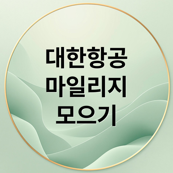 대한항공
마일리지
모으기 (대한항공 마일리지)