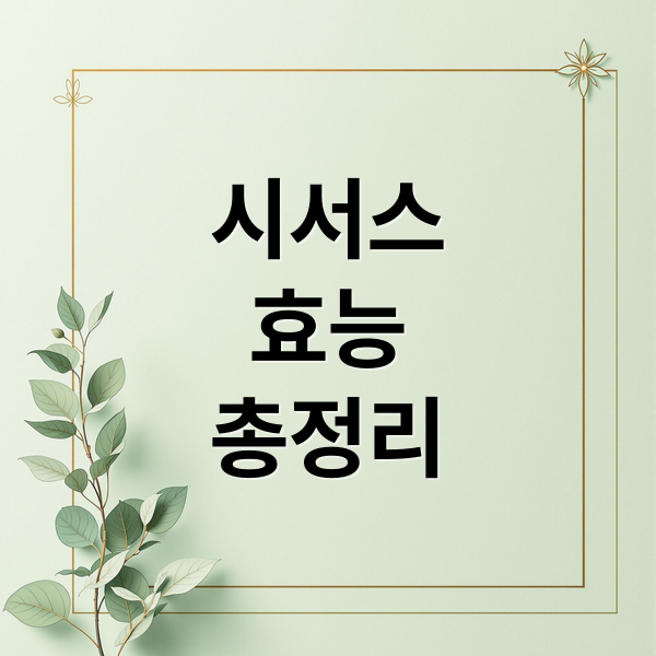 시서스
효능
총정리 (시서스 효능 부작용)