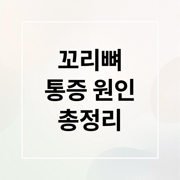 꼬리뼈
통증 원인
총정리 (꼬리뼈 통증)