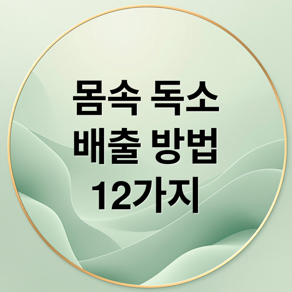 몸속 독소
배출 방법
12가지 (독소 배출 방법 12가지)