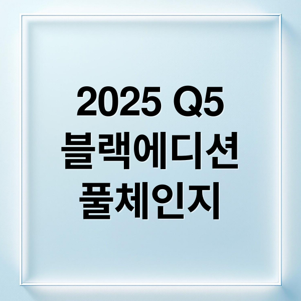 2025 Q5
블랙에디션
풀체인지 (아우디 Q5 디젤 블랙에디션 에어서스)