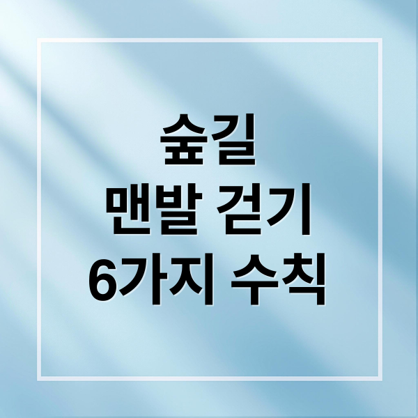 숲길
맨발 걷기
6가지 수칙 (숲길 맨발걷기 6가지 안전수칙)