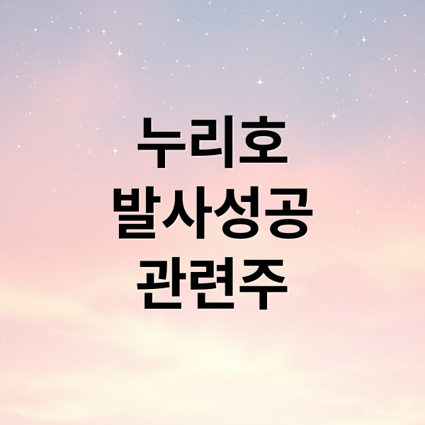 누리호
발사성공
관련주 (누리호 관련주)