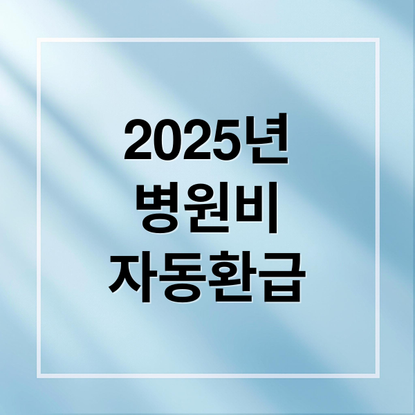 2025년
병원비
자동환급 (병원비 환급 2025 최신)