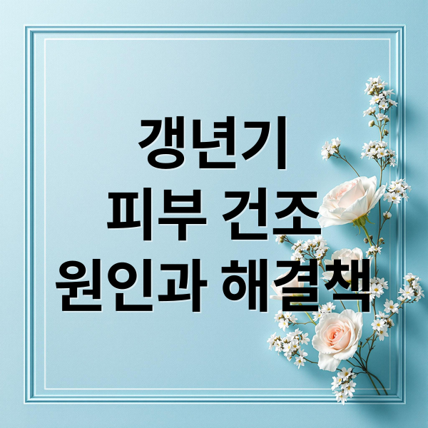 갱년기
피부 건조
원인과 해결책 (갱년기 피부 나빠지는 이유 해결법)