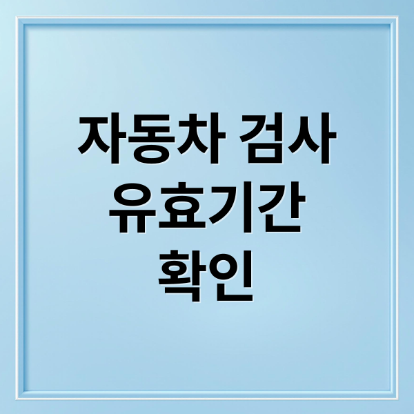 자동차 검사
유효기간
확인 (자동차 검사 기간 조회 연장)
