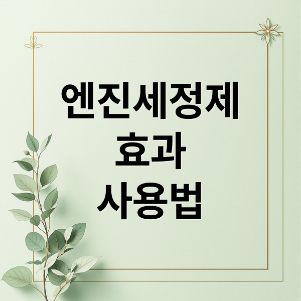 엔진세정제
효과
사용법 (엔진 세정제 사용법 효과)