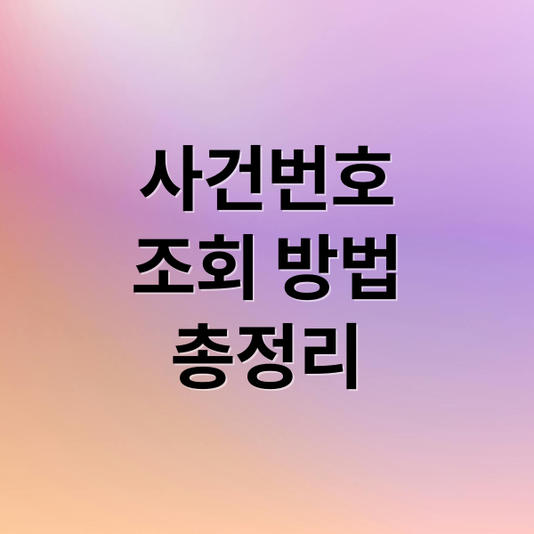 사건번호
조회 방법
총정리 (사건번호 조회 방법)