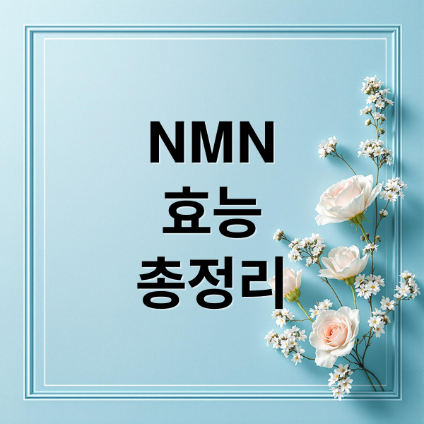 NMN
효능
총정리 (NMN 효능 체험담,NMN 효능)
