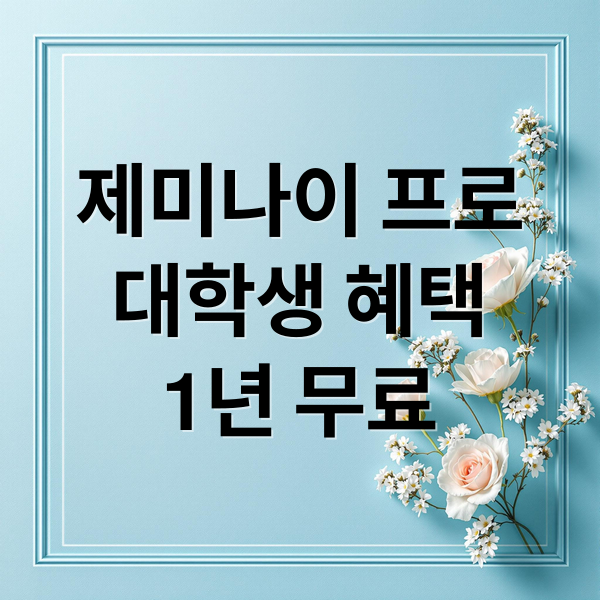 제미나이 프로
대학생 혜택
1년 무료 (구글 제미나이 프로 플랜 무료)