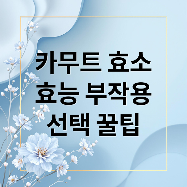 카무트 효소
효능 부작용
선택 꿀팁 (카무트효소 가격 효능 부작용)