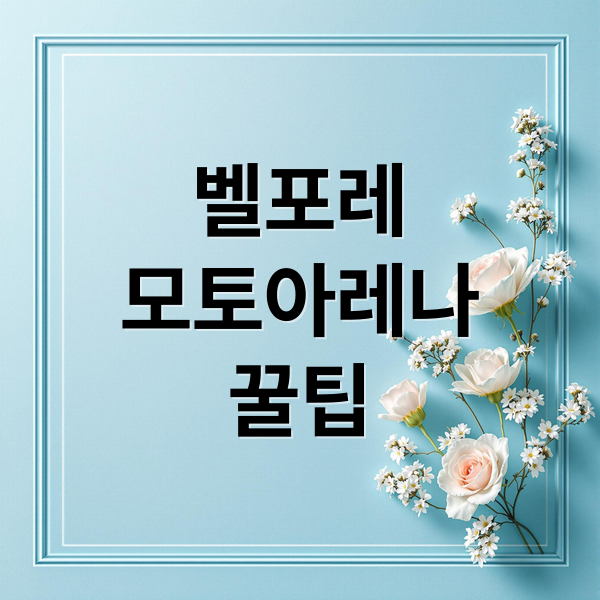 벨포레
모토아레나
꿀팁 (벨포레 모토아레나)
