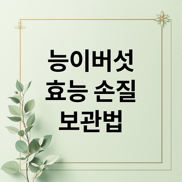 능이버섯
효능 손질
보관법 (능이버섯 효능)
