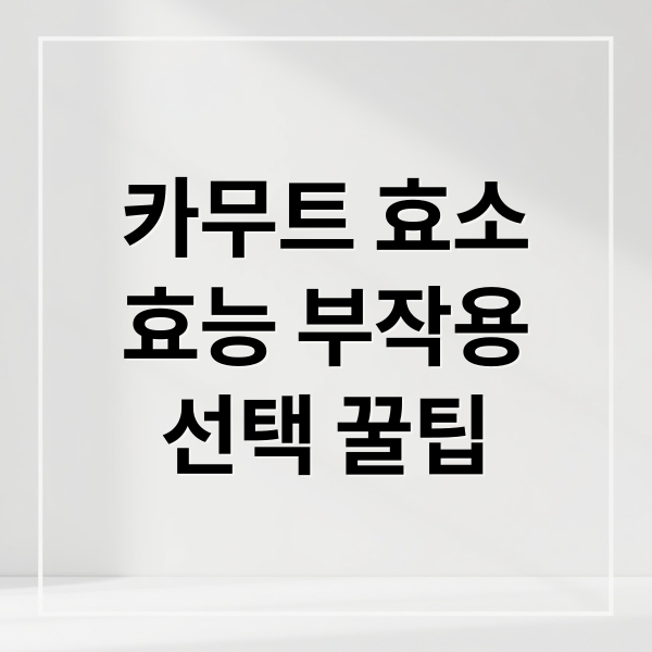 카무트 효소
효능 부작용
선택 꿀팁 (카무트효소 효능 부작용 가격)