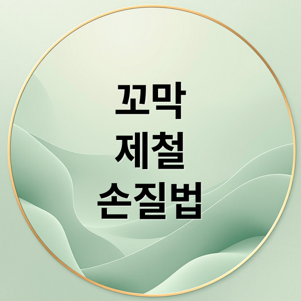 꼬막
제철
손질법 (꼬막 제철 삶는 법 효능 부작용)