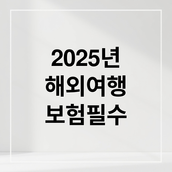 2025년
해외여행
보험필수 (여행자보험 추천)