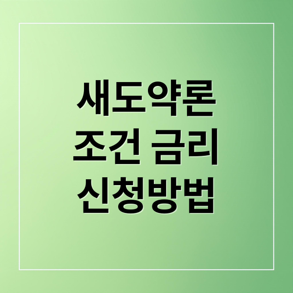 새도약론
조건 금리
신청방법 (새도약론)