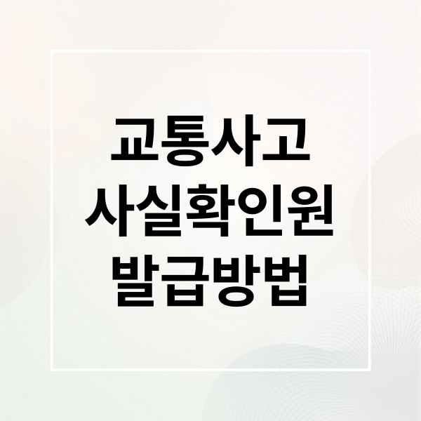 교통사고
사실확인원
발급방법 (교통사고 사실확인원)