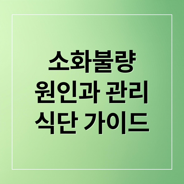 소화불량
원인과 관리
식단 가이드 (소화 잘되는 음식)