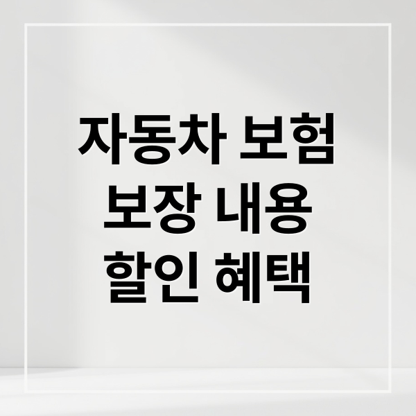 자동차 보험
보장 내용
할인 혜택 (자동차 보험 보장내용 만기일 확인)