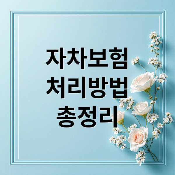 자차보험
처리방법
총정리 (자동차 자차 보험처리)