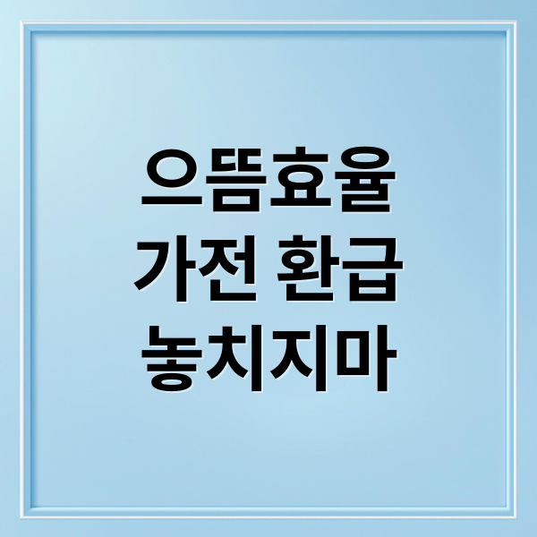 으뜸효율
가전 환급
놓치지마 (으뜸효율 가전제품 환급)