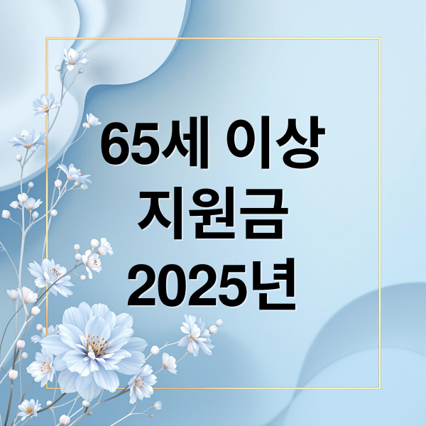 65세 이상
지원금
2025년 (2025 65세 이상 노인 혜택)