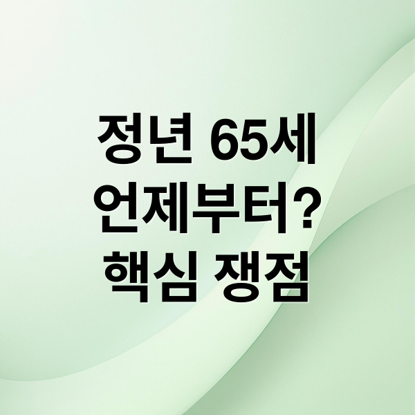 정년 65세
언제부터?
핵심 쟁점 (정년 65세 연장 시기)