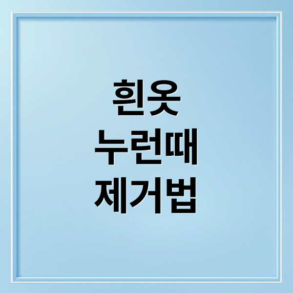 흰옷
누런때
제거법 (흰옷 누런때 지우기)
