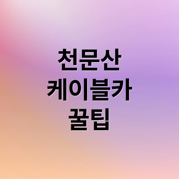 천문산케이블카꿀팁 (장가계 천문산 케이블카)