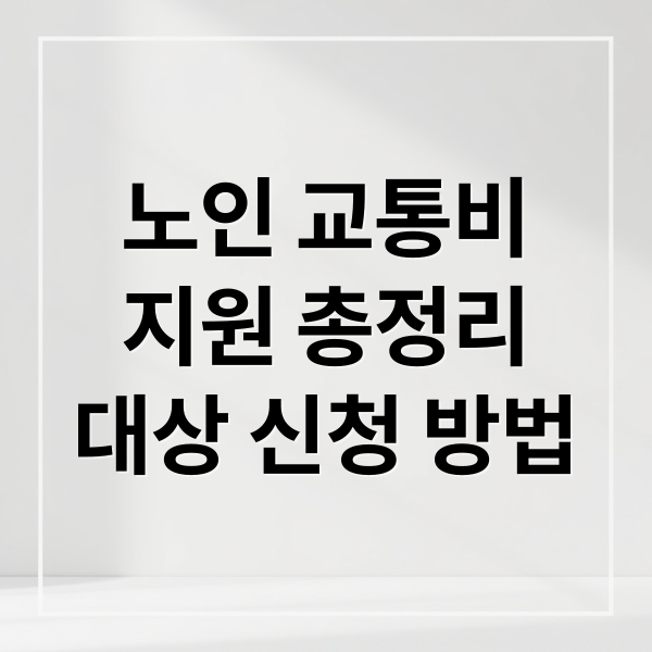 노인 교통비
지원 총정리
대상 신청 방법 (노인 교통비 지원 신청 방법 한눈 가이드)